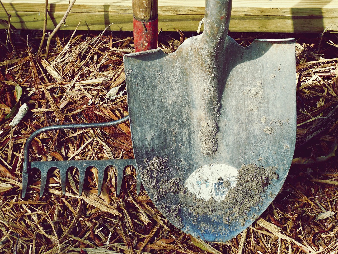 shovel, nature, rake, dirt, farm, garden, hand tools, labor, metal, tools